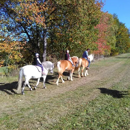 Na Farme U Koni 公寓 Milesov (Pribram)